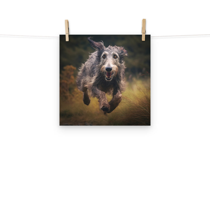 Scottish Deerhound Photo paper poster - PosterfyAI.com