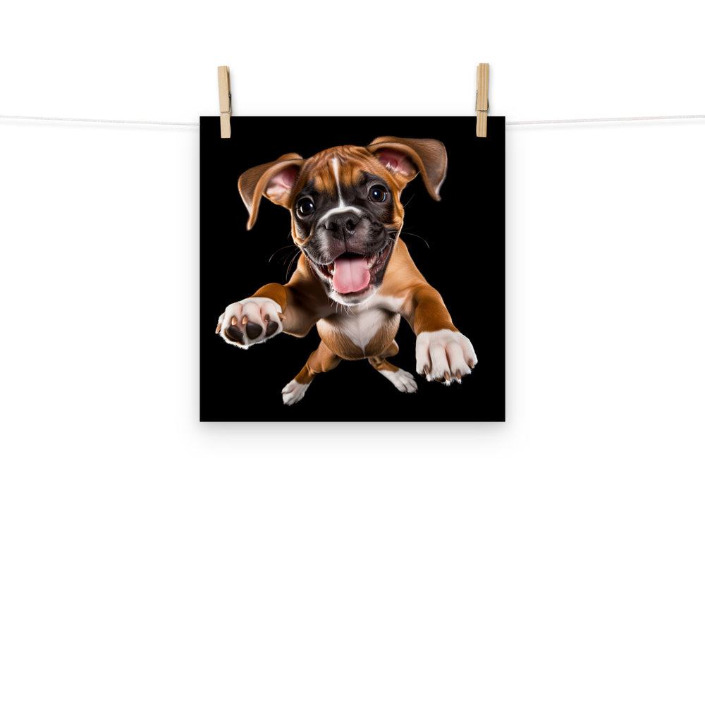 Boxer Photo paper poster - PosterfyAI.com