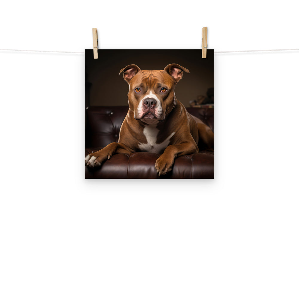 American Staffordshire Terrier Photo paper poster - PosterfyAI.com