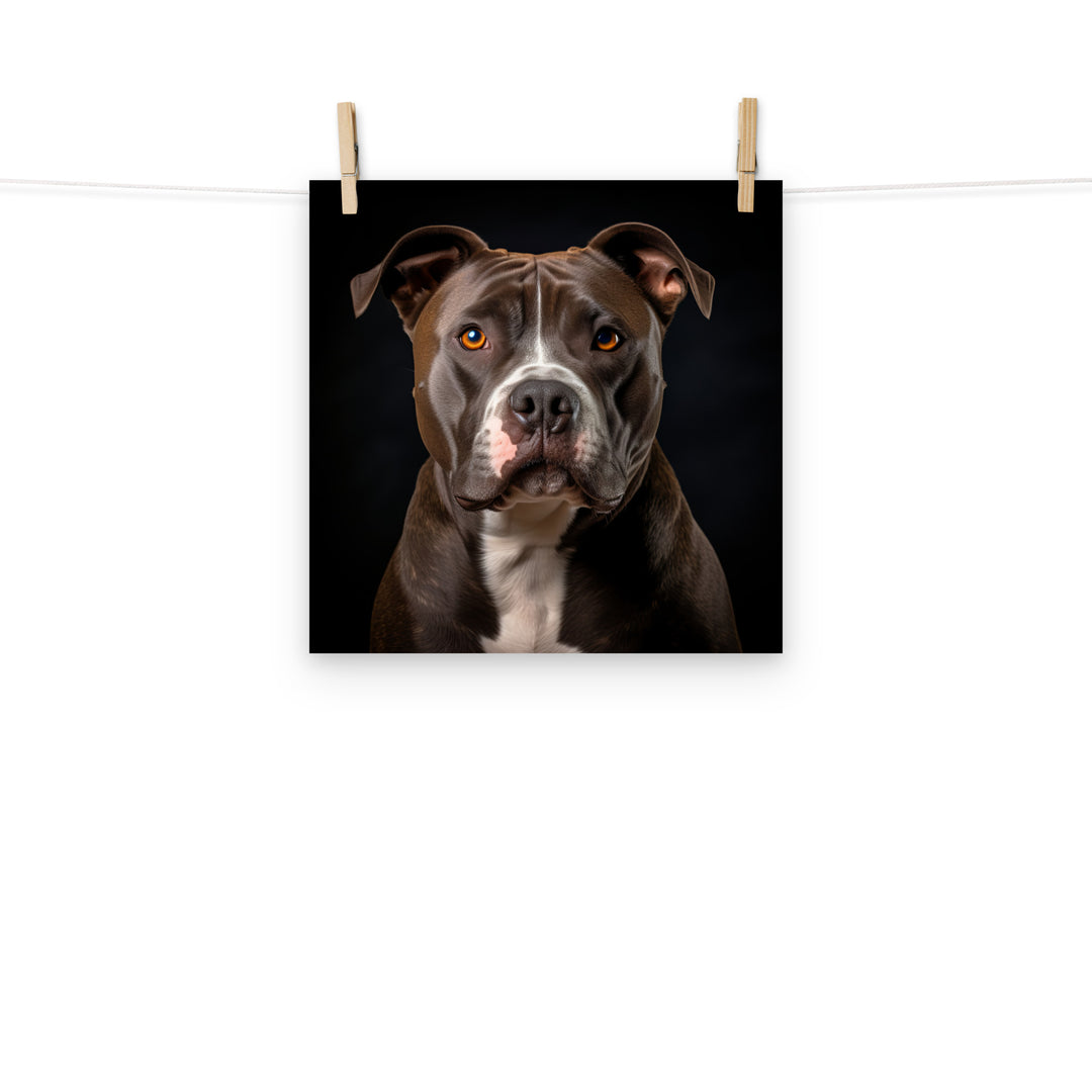 American Staffordshire Terrier Photo paper poster - PosterfyAI.com