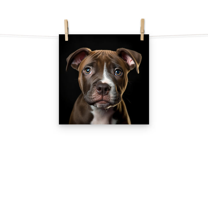 American Staffordshire Terrier Photo paper poster - PosterfyAI.com