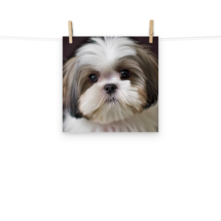 Shih Tzu Photo paper poster - PosterfyAI.com