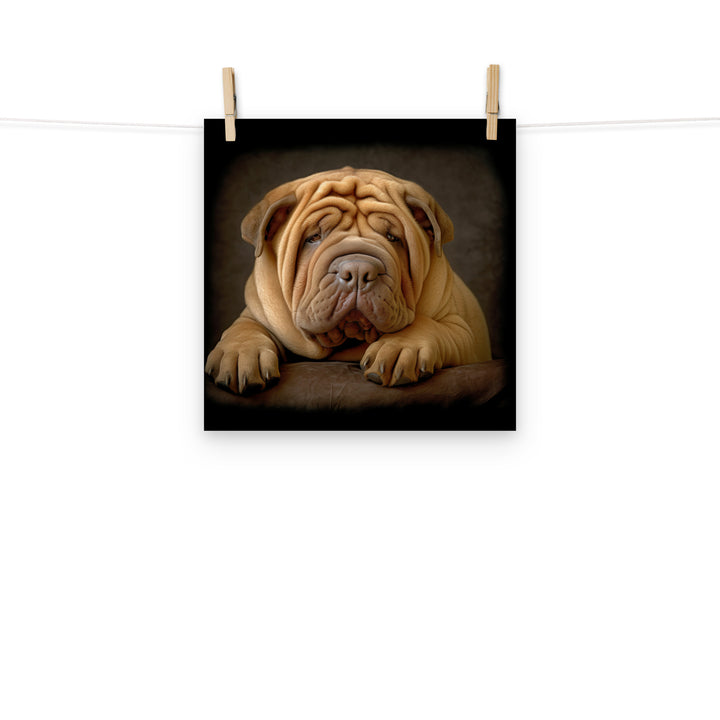 Shar Pei Photo paper poster - PosterfyAI.com