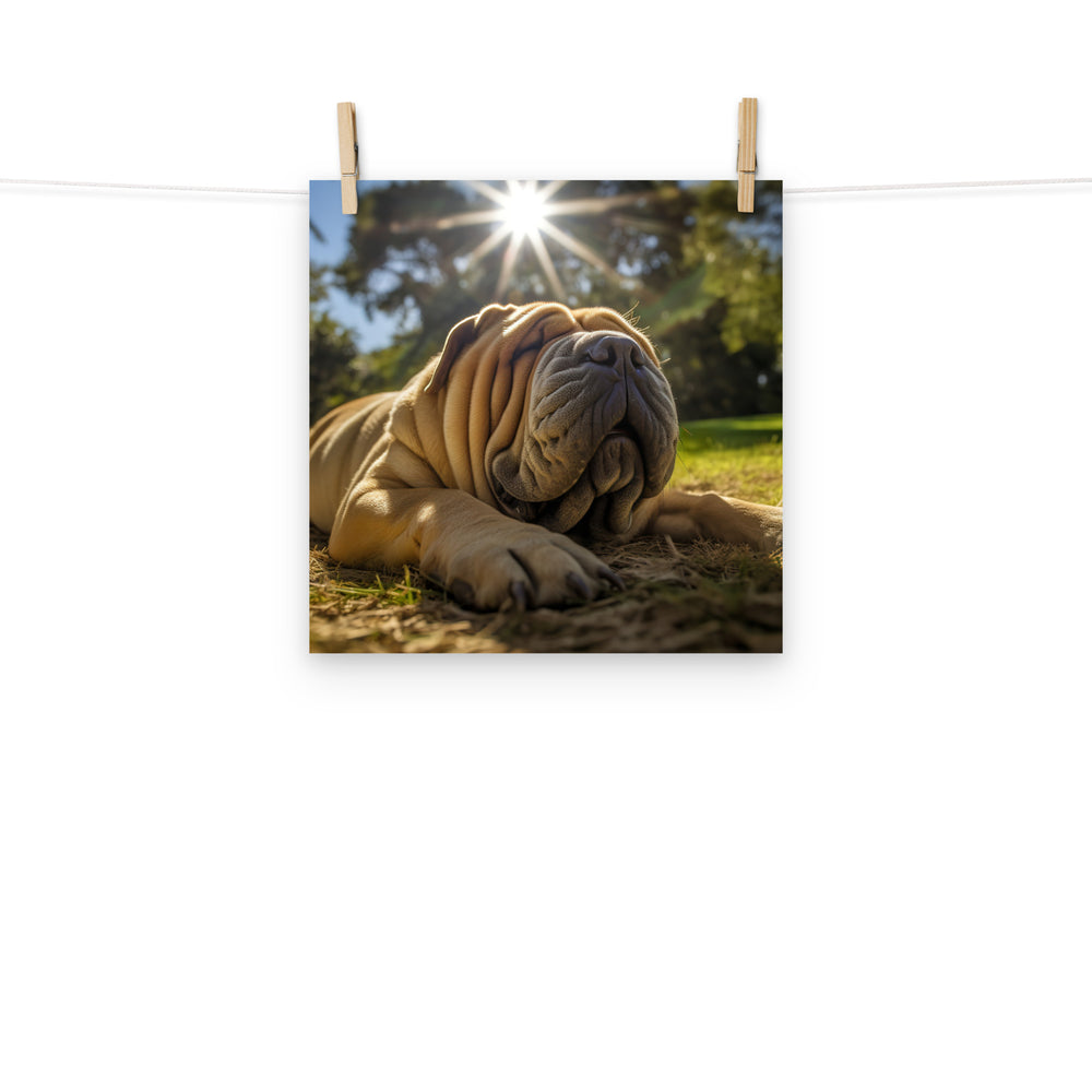 Shar Pei Photo paper poster - PosterfyAI.com
