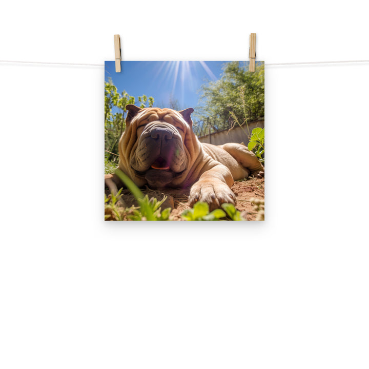 Shar Pei Photo paper poster - PosterfyAI.com