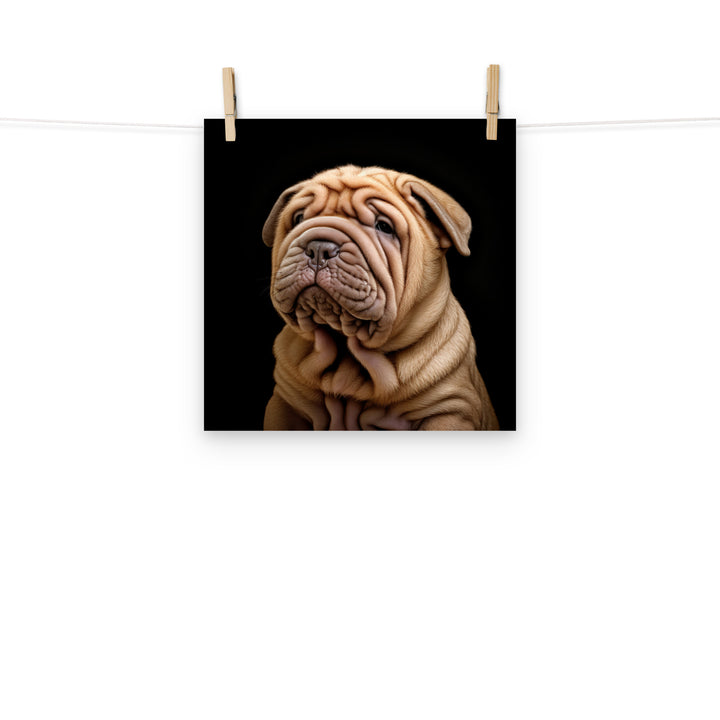 Shar Pei Photo paper poster - PosterfyAI.com