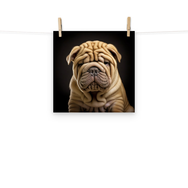 Shar Pei Photo paper poster - PosterfyAI.com