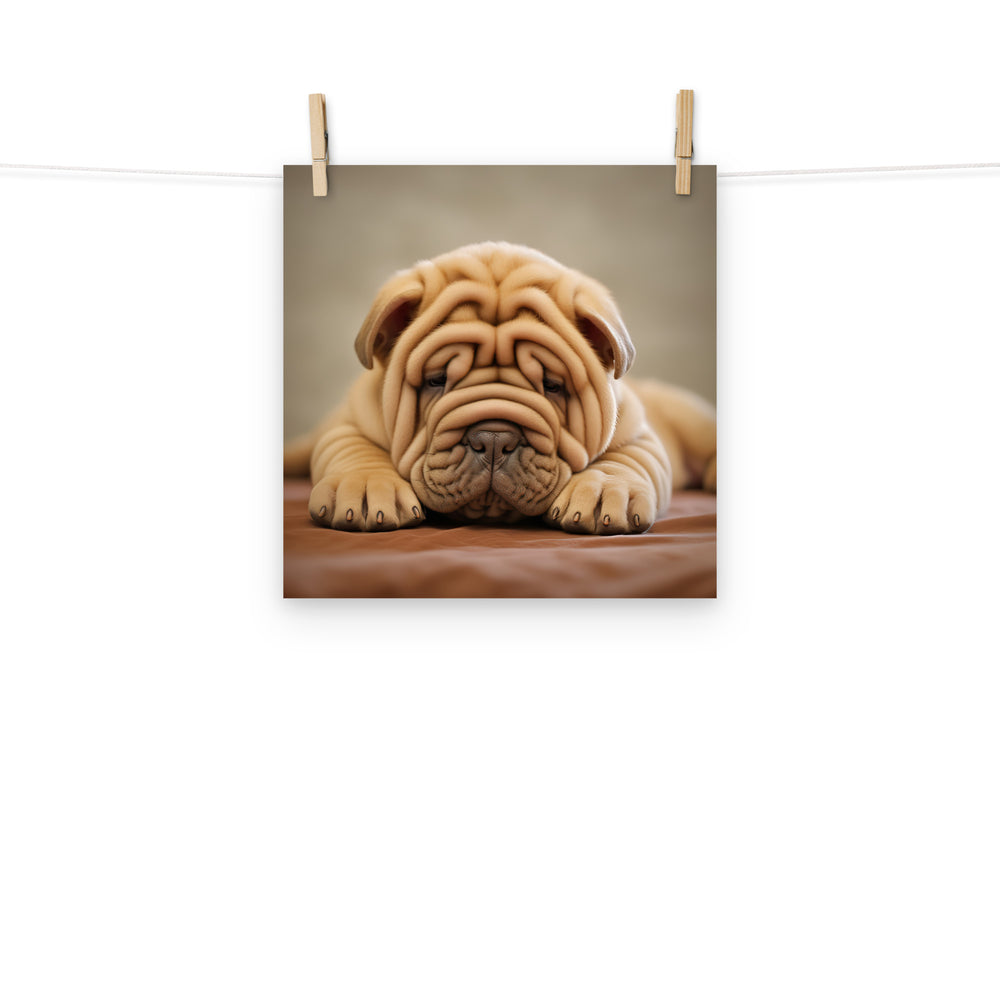Shar Pei Photo paper poster - PosterfyAI.com