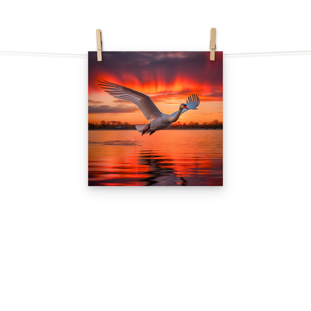 Swan Photo paper poster - PosterfyAI.com
