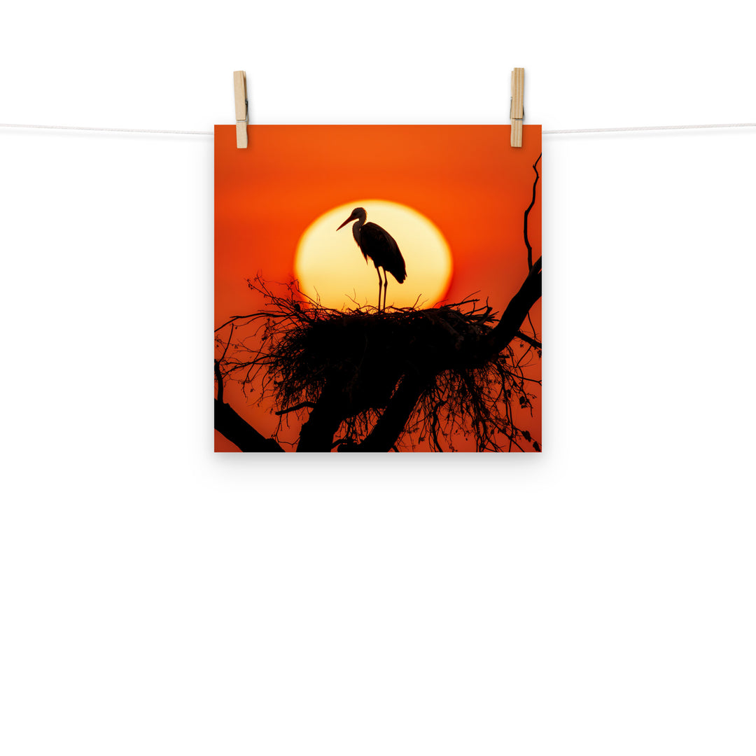 Stork Photo paper poster - PosterfyAI.com