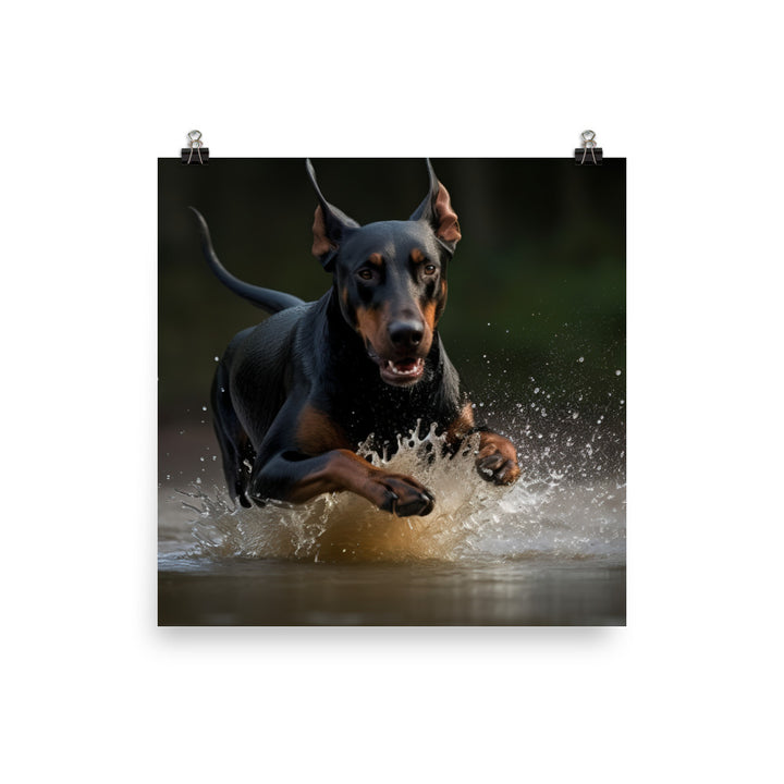 The athleticism of a Doberman Pinscher in action Photo paper poster - PosterfyAI.com