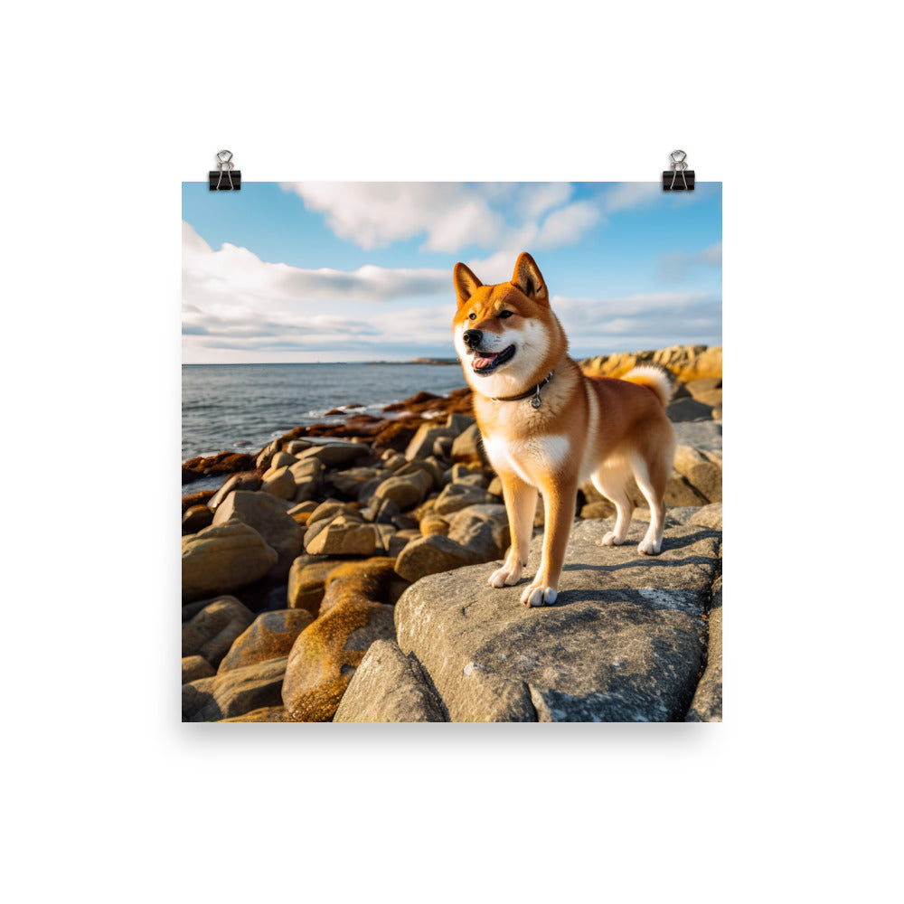 Shiba Inu Gazing Out Photo paper poster - PosterfyAI.com
