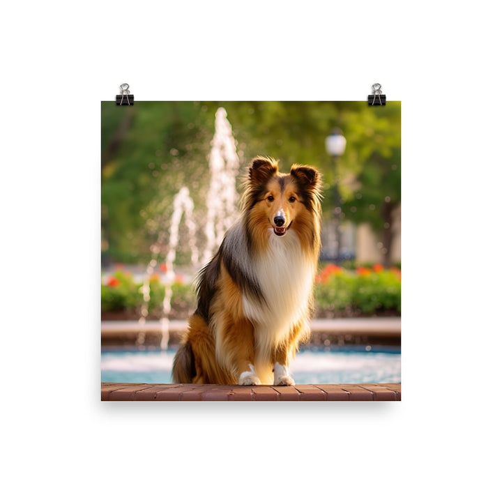 Shetland Sheepdog Posing in the Park Photo paper poster - PosterfyAI.com