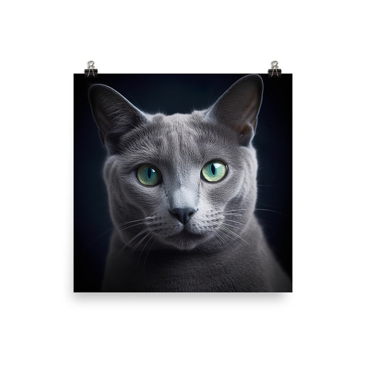 Beauty of Russian Blue Cat Photo paper poster - PosterfyAI.com