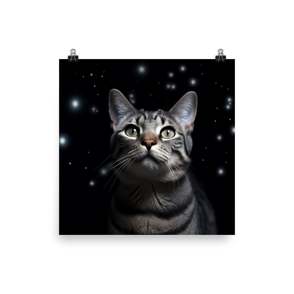 American Shorthair Cat Photo paper poster - PosterfyAI.com