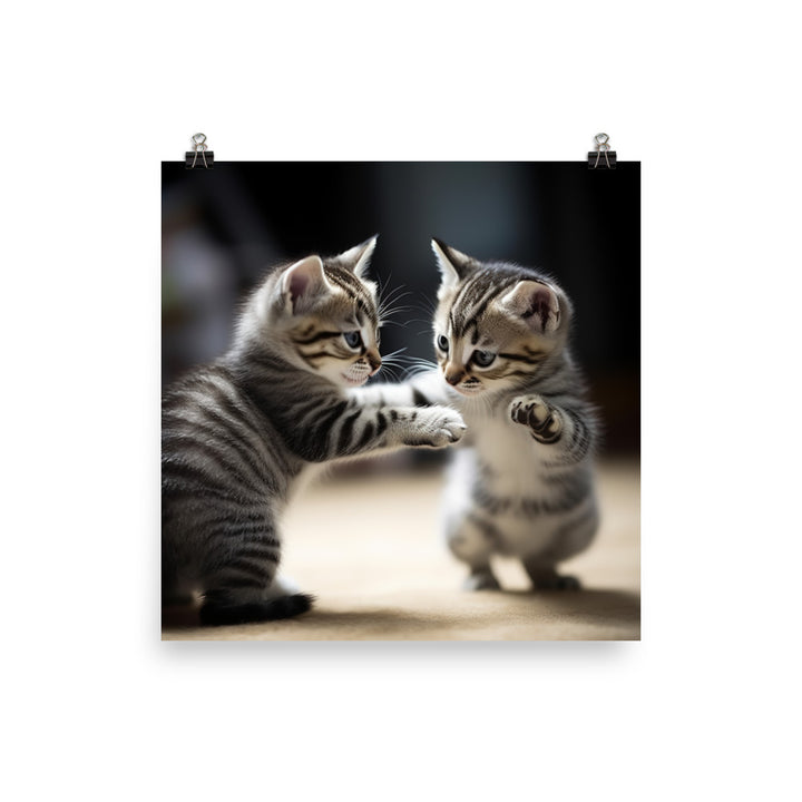 American Shorthair Cat Photo paper poster - PosterfyAI.com