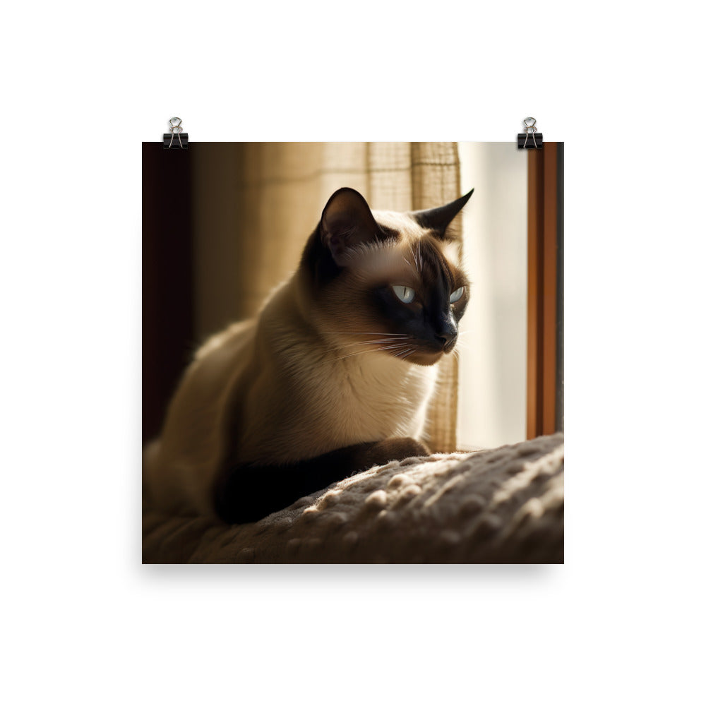 Siamese Serenity Photo paper poster - PosterfyAI.com