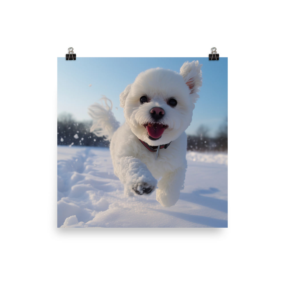 Bichon Frise in the Snow Photo paper poster - PosterfyAI.com