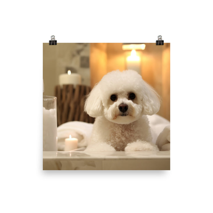 Bichon Frise in a Spa Photo paper poster - PosterfyAI.com