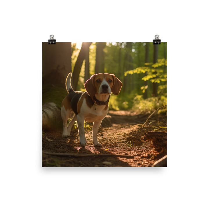 Beagle on the scent Photo paper poster - PosterfyAI.com