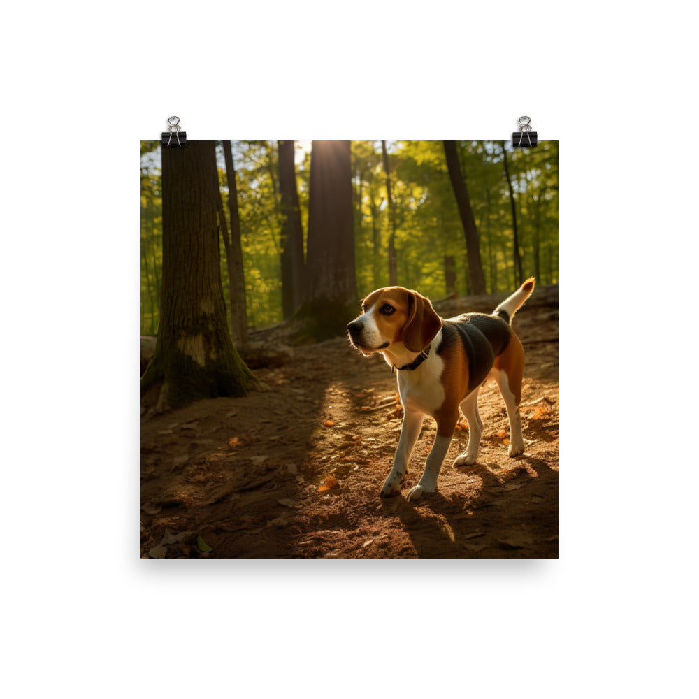Beagle on the scent Photo paper poster - PosterfyAI.com