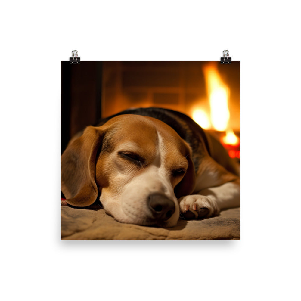 Beagle in repose Photo paper poster - PosterfyAI.com