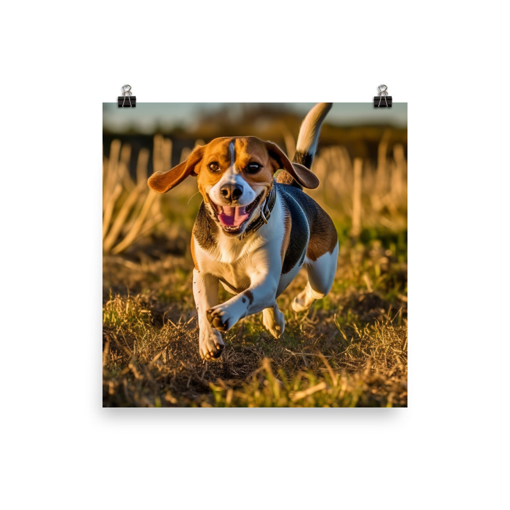 Beagle at play Photo paper poster - PosterfyAI.com