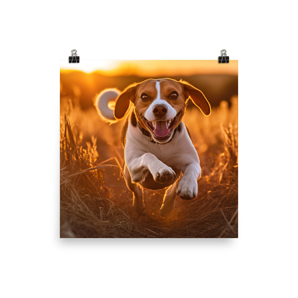 Beagle at play Photo paper poster - PosterfyAI.com
