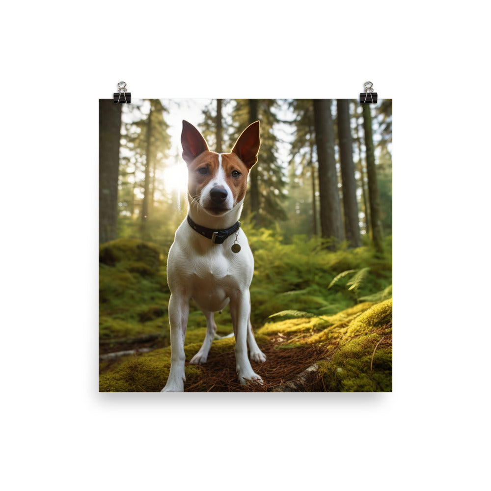 Basenji in Nature Photo paper poster - PosterfyAI.com