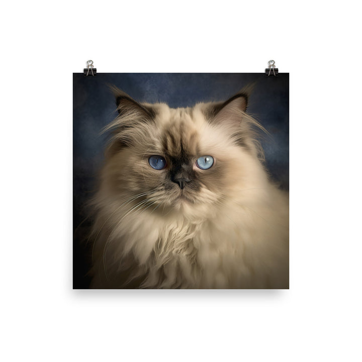 Beauty of Himalayan Cat Photo paper poster - PosterfyAI.com