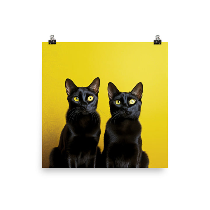 Striking Contrast of Bombay Cat Photo paper poster - PosterfyAI.com