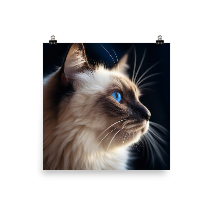 Birman Cat Photo paper poster - PosterfyAI.com
