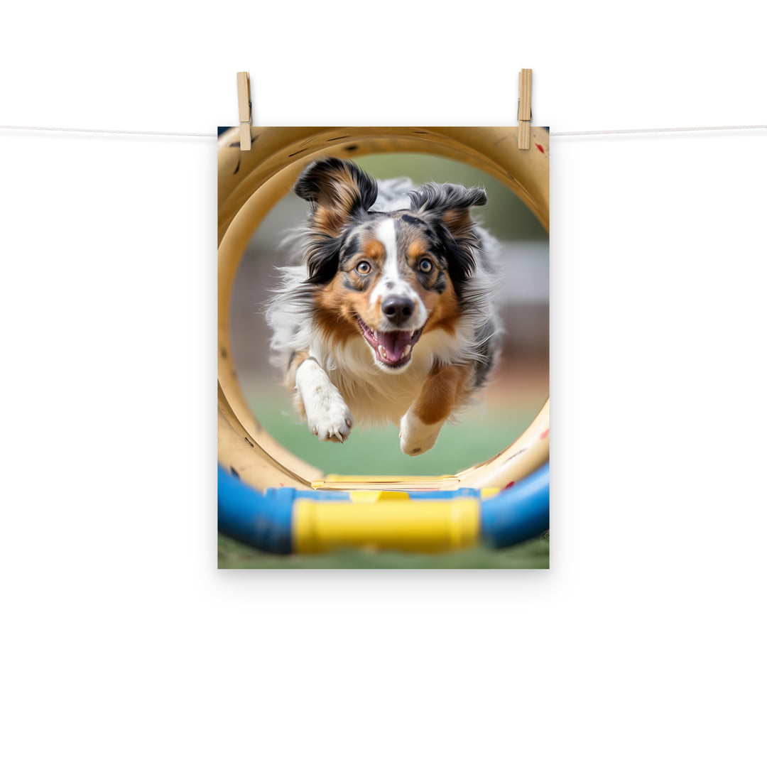 Australian Shepherd Photo paper poster - PosterfyAI.com