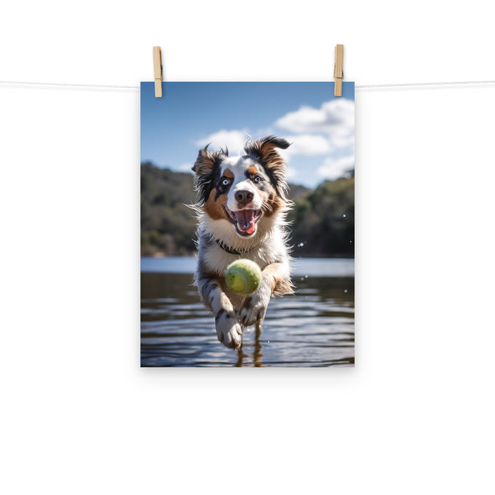 Australian Shepherd Photo paper poster - PosterfyAI.com