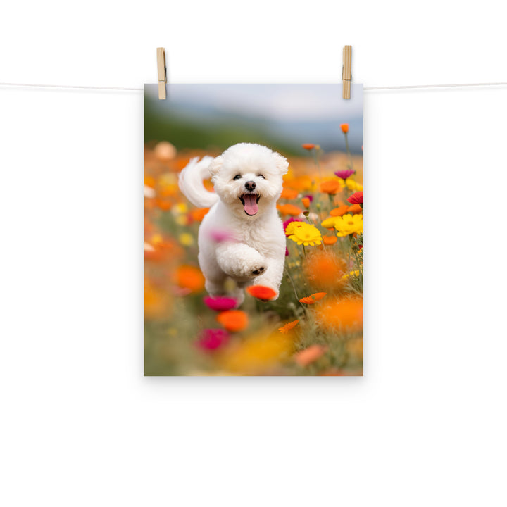 Bichon Frise Photo paper poster - PosterfyAI.com