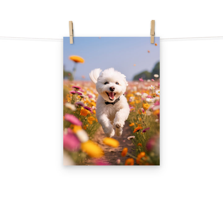 Bichon Frise Photo paper poster - PosterfyAI.com