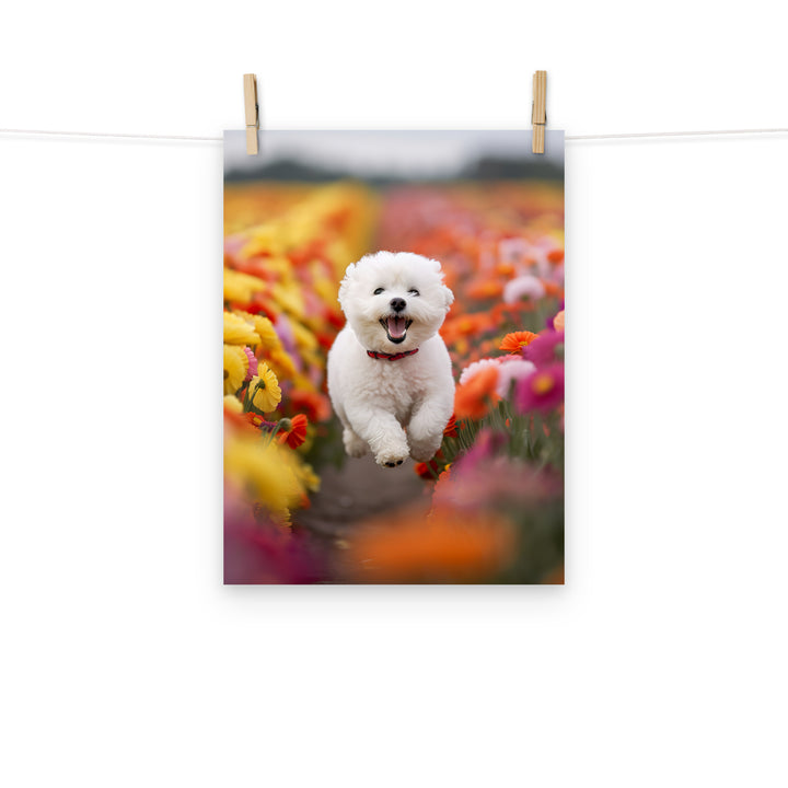 Bichon Frise Photo paper poster - PosterfyAI.com