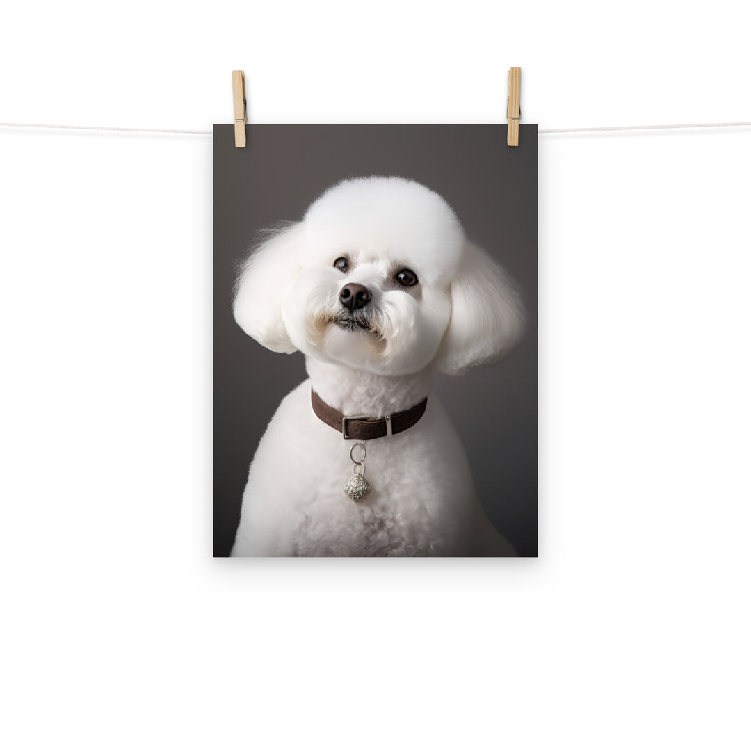 Bichon Frise Photo paper poster - PosterfyAI.com