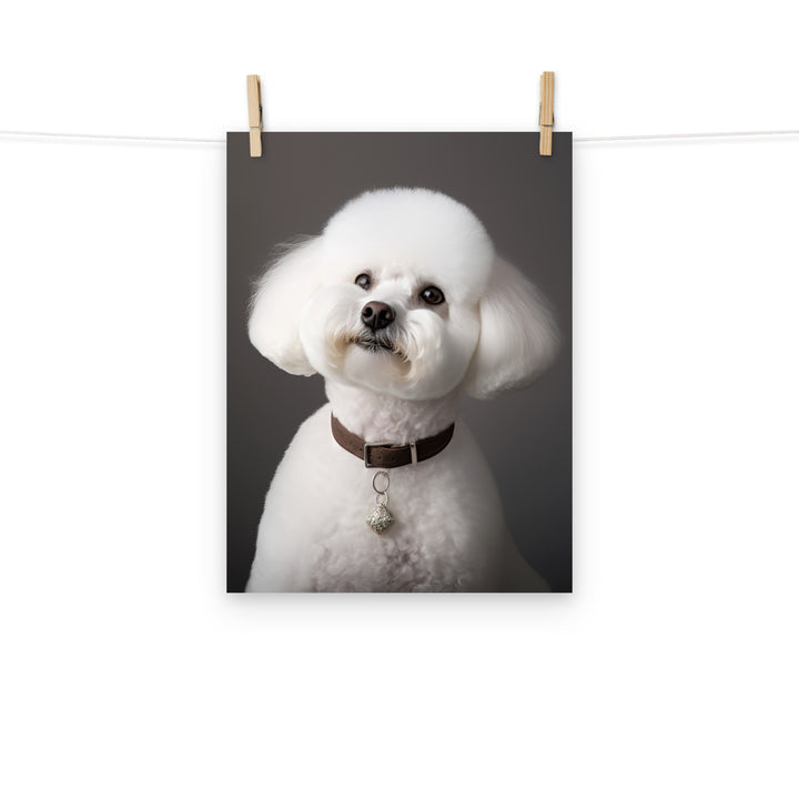 Bichon Frise Photo paper poster - PosterfyAI.com