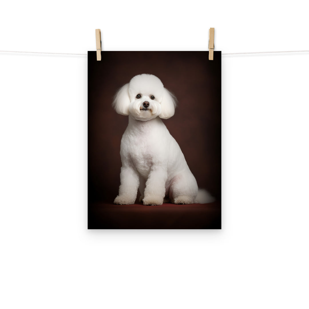 Bichon Frise Photo paper poster - PosterfyAI.com