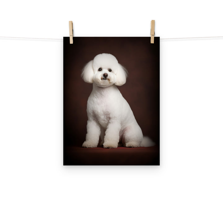 Bichon Frise Photo paper poster - PosterfyAI.com