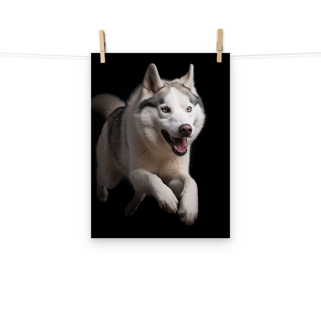 Siberian Husky Photo paper poster - PosterfyAI.com