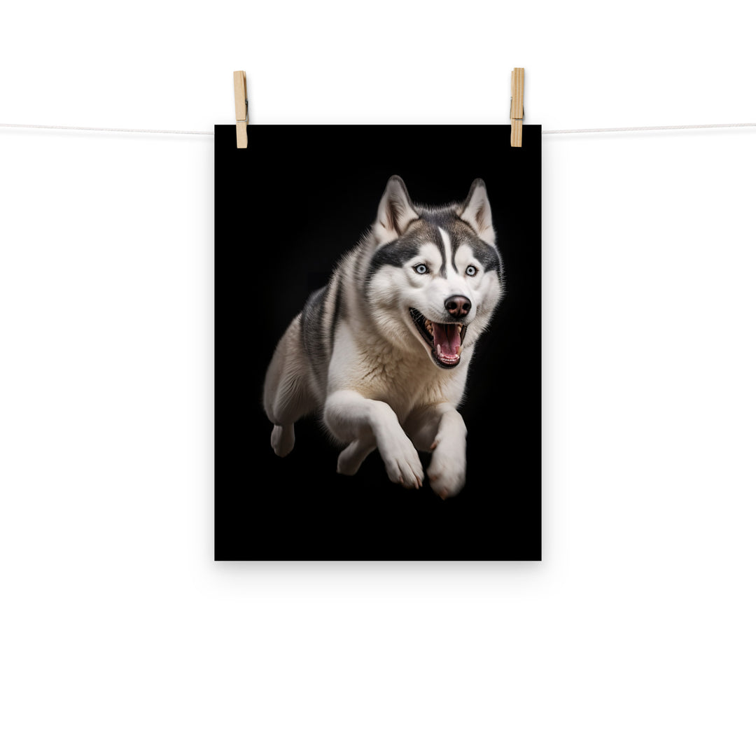 Siberian Husky Photo paper poster - PosterfyAI.com