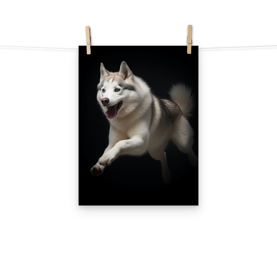 Siberian Husky Photo paper poster - PosterfyAI.com