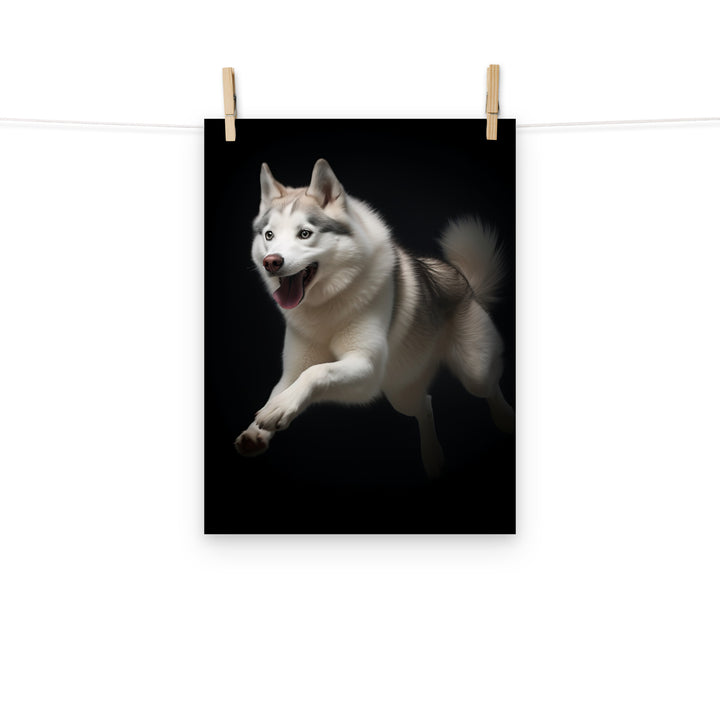 Siberian Husky Photo paper poster - PosterfyAI.com