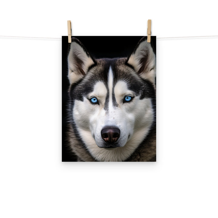 Siberian Husky Photo paper poster - PosterfyAI.com