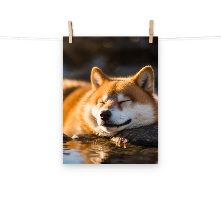 Shiba Inu Photo paper poster - PosterfyAI.com
