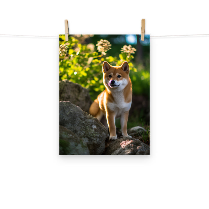 Shiba Inu Photo paper poster - PosterfyAI.com