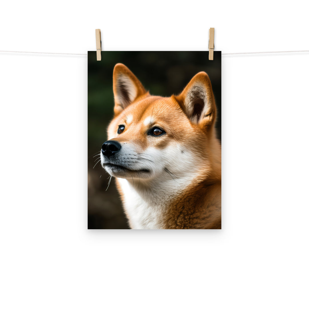 Shiba Inu Photo paper poster - PosterfyAI.com