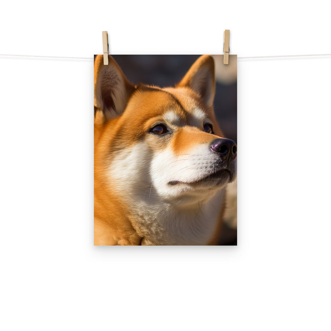 Shiba Inu Photo paper poster - PosterfyAI.com